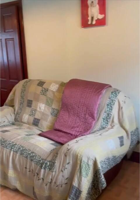 Ballygowan Annie Dee'S Guest Accommodation מראה חיצוני תמונה