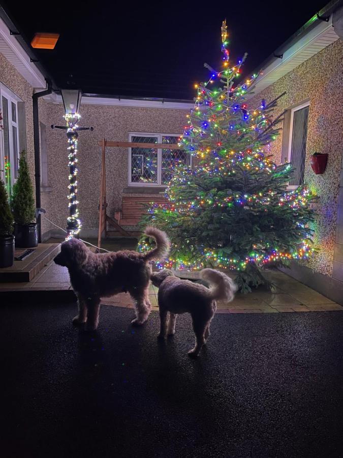 Ballygowan Annie Dee'S Guest Accommodation מראה חיצוני תמונה